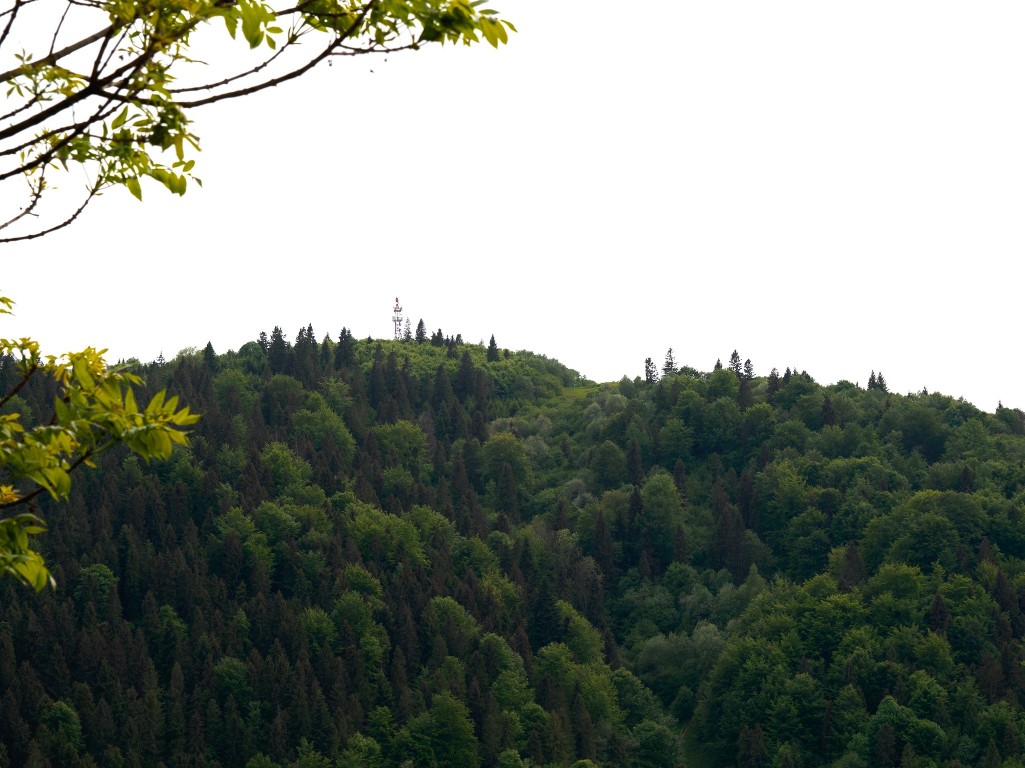 GALERIA | Domek na Słonej