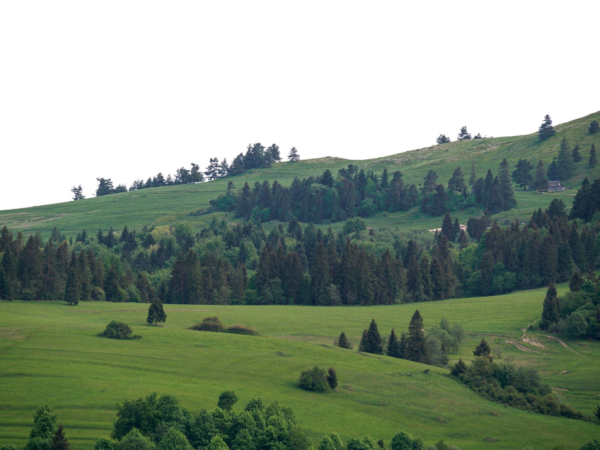 GALERIA | Domek na Słonej