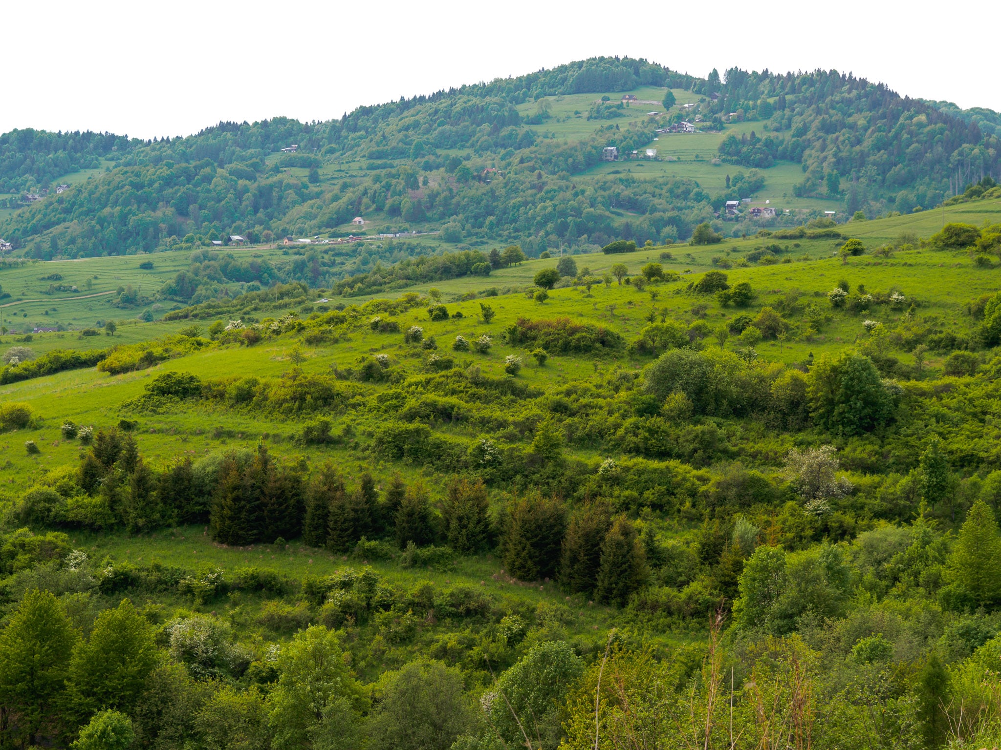 GALERIA | Domek na Słonej